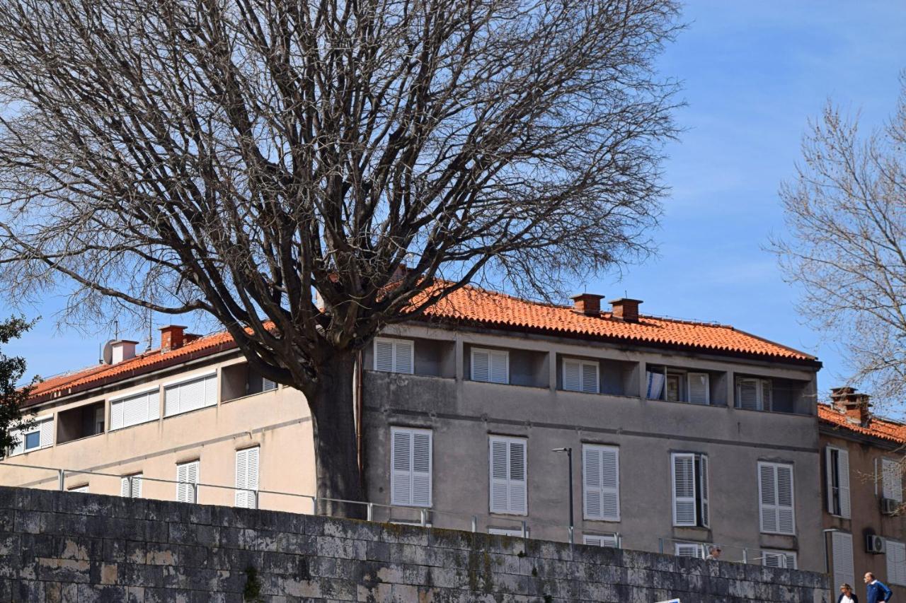 Apartment Corner Zadar Exteriör bild